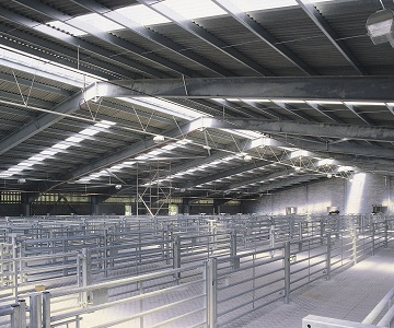 Agricultural Rooflights And Claddings