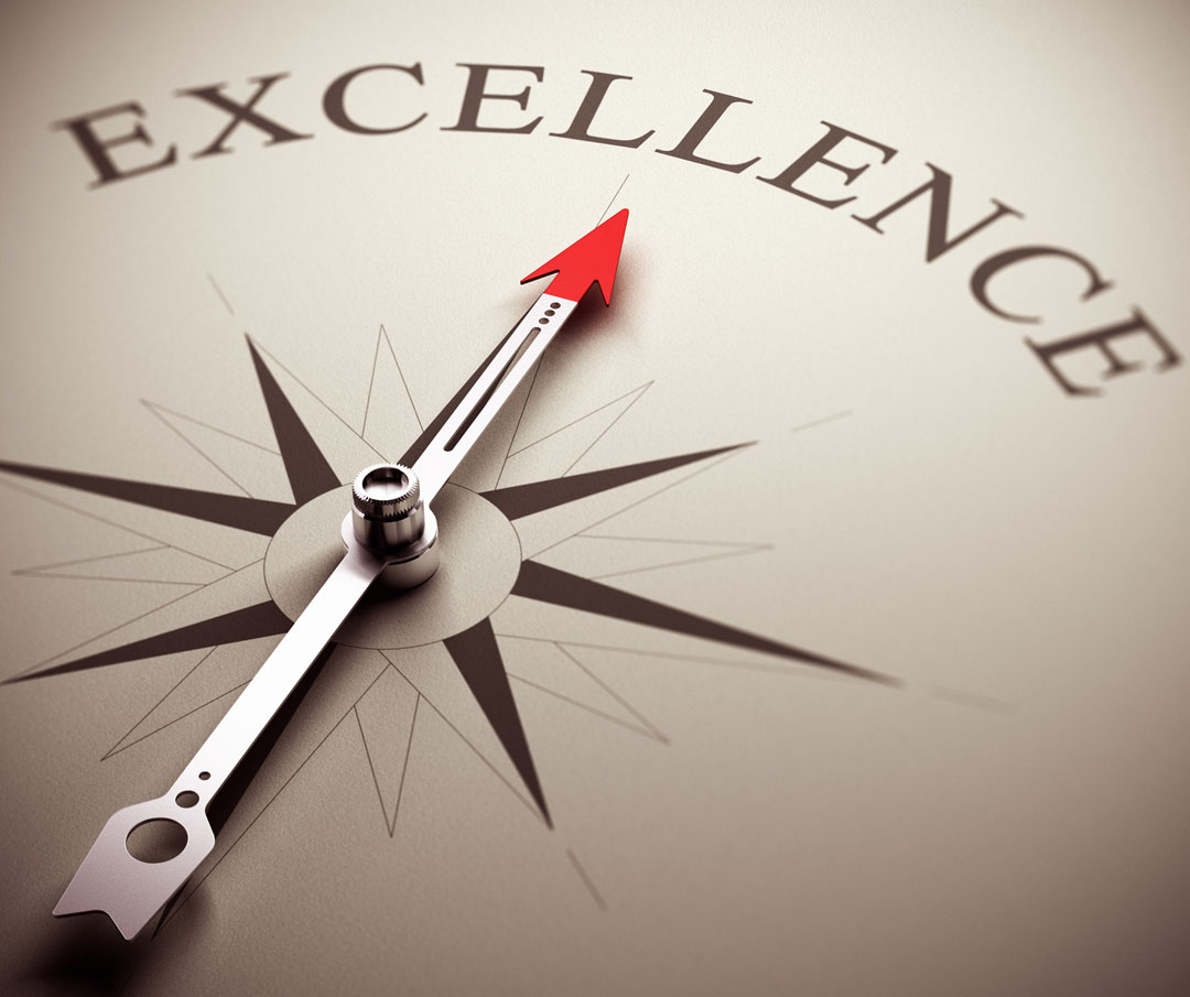 Partnering with Excellence